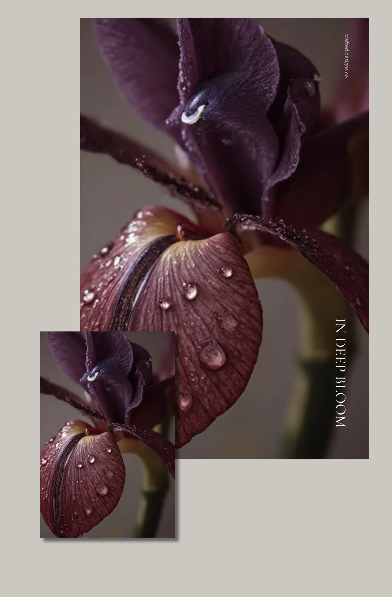 Crafted Lux – Reserve: IN DEEP BLOOM - Image 3